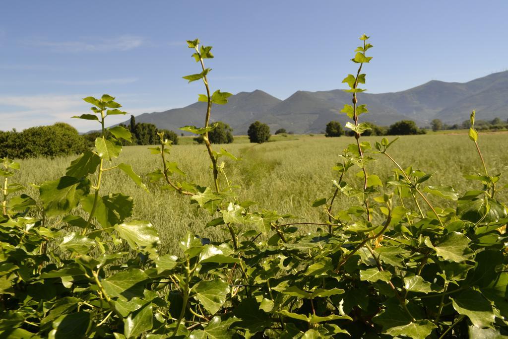 B&B Glicine E Luna Cascina Buitenkant foto